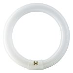Osram T9 Lumilux Circline 32W - 840 Cool White | 30cm