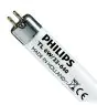 Philips T5 Short 6W - 640 Cool White | 21cm