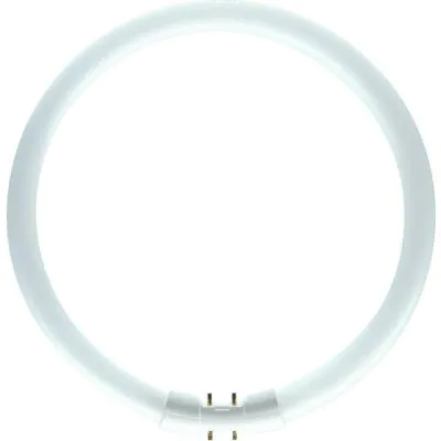 Fluorescent tubes circular