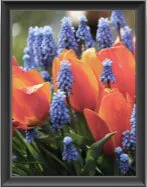 Color Display Index RA